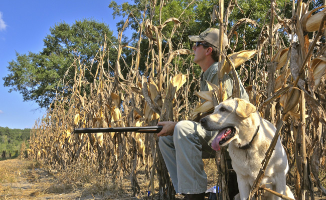 Waiting with dog